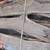 3 dozen black walnut slabs for sale. 3 thumbnail