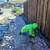 🏠HERNANDEZ Gardening, Landscaping, Concrete, Fences. References.🏠 4 thumbnail