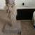 3 Cat scratch posts 3 thumbnail
