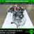 JDM 1997-2001 HONDA ACCORD EURO R PRELUDE TYPE S ENGINE H22A PDE MOTOR 8 thumbnail
