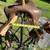 ProRider Saddle 1 thumbnail