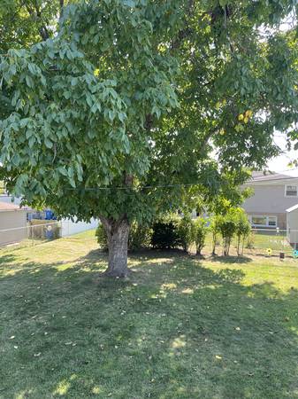 $399,999 / 4br - 1800ft2 - 4 BEDROOM RAISED RANCH (Addison)63918413928578124