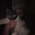 Poofy tailed cat 1 thumbnail