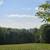 Stunning 31.4-acre parcel 22 thumbnail