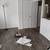 Apprentice for rent $2075.00 3 thumbnail