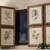 Empty Photo Frames (With Pinterest Ideas) 3 thumbnail
