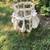 Antique Victorian Bird Cage Hot Air Balloon Style Birdcage 36” Tall 3 thumbnail