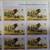 1985 Stamps TANZANIA LION SIMBA (Panthera Leo) 4 thumbnail