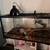 Snake enclosure 1 thumbnail