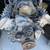 DODGE 5.7 L HEMI, MOPAR REPLACEMENT ENGINE WITH MDS SENSORS 4 thumbnail