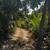 Land for Sale – Nature, Security, and Location 2 thumbnail