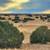 Beat the Heat & Invest Smart: 1.04 Acres in Concho, AZ 2 thumbnail
