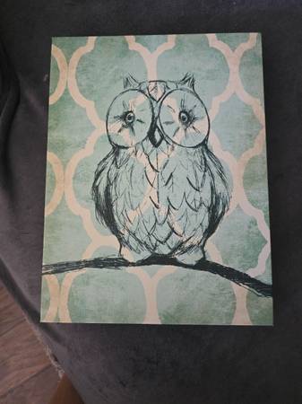 Owl 1