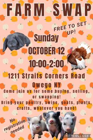STRAITS CORNERS FARM SWAP (Owego)64035635943041120