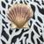 Metal Shells/Starfish on Coral Look Background 12 thumbnail