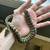 Papuan Carpet Python Juvenile 1 thumbnail