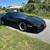 1986 Corvette Barn Find 29,484 miles 4 thumbnail