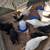 Chicken/ hens 1 thumbnail