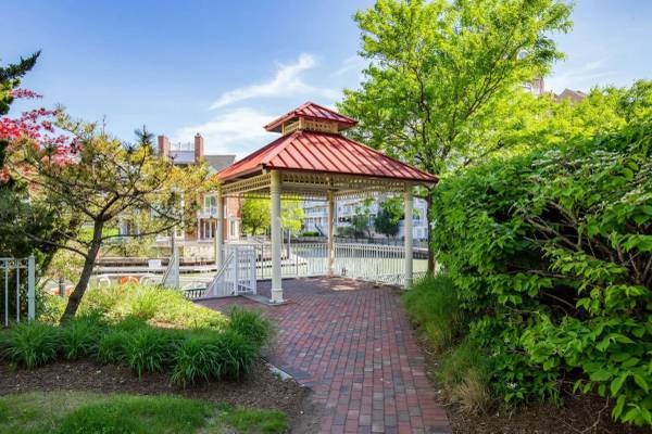 Responsible Professional Looking for 1–2 Bedroom Apartment for Rent 1