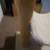 Cat scratching double posts with bed and side lay 12 thumbnail