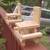 Squirrel Picnic Table Feeder 15 thumbnail