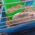 Hedgehog 3 thumbnail