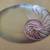 Glass shell plate 3 thumbnail