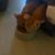 Rehoming Baby Kittens 1 thumbnail