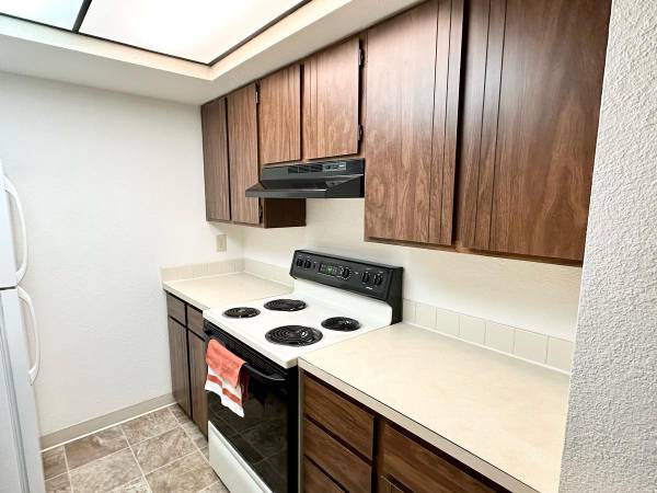 $1,250 / 1br - 760ft2 - Breakfast Bar, Community Courtyards, Vaulted Ceilings (North Richland)63674570130947124