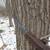 Lone Wolf Climbing Tree Stand 6 thumbnail