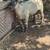 Borrego 1 thumbnail