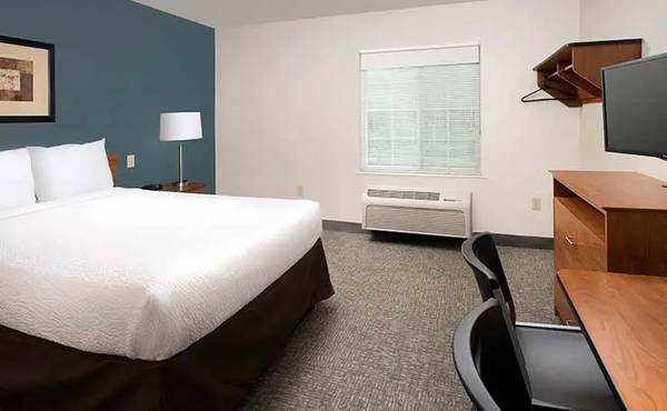 King bed Studio, Fully Furnished, utilities paid! Only 454 WEEKLY 1