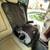 Universal Car Seat Protector (Set of 2) 5 thumbnail