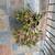 Ever Green Plant in a classic pot 1 thumbnail