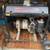 Excell generator briggs&station 10hp 1 thumbnail