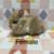 Bunnies 10 thumbnail