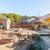Fully furnished house, great yard, Nov to April, possible extension 18 thumbnail