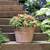 New Aged-look Hand-crafted Clay Planters – 15” 1 thumbnail