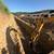 Excavation and grading, dirt work, demolition, 15 thumbnail
