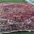 Gorgeous Heriz Wool Rug - 2 available. 2 thumbnail