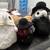 Stuff animals 6 thumbnail