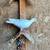 Homing Pigeons 4 thumbnail