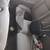 Car parts 8 thumbnail