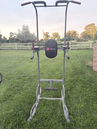 Adjustable Pull-up / Dip Strength Training Station 1