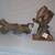 REPTILES & EXOTIC PETS DECOR 3 thumbnail