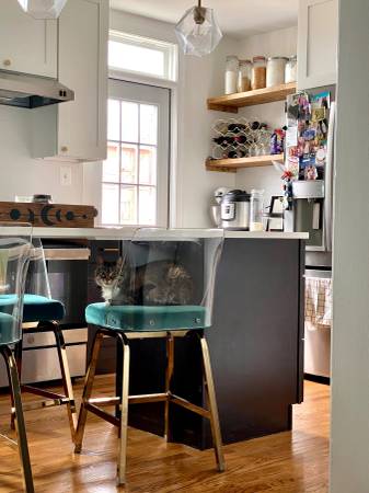 $2,200 / 2br - Bright, fully furnished 2BR NE DC rowhouse near Union Market (Carver-Langston, DC)64040025285762122