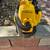 DEWALT DC500 18V / 120V 2-Gallon Corded/Cordless Wet/Dry Vacuum - Nice 5 thumbnail