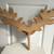 Wooden Deer Head Wall Décor 27”W x 21”H 4 thumbnail