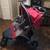 instep suburban safari stroller- 2 seat 1 thumbnail