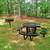 Charming 2 Bed/1.5 Bath Unit in Lynchburg, VA - $1055/mo 9 thumbnail